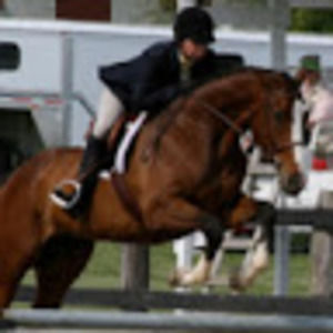 Meet your Posher, Lori